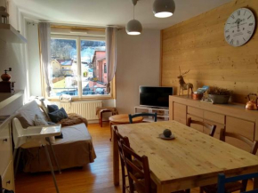 Cosy appartement La Bresse centre ville